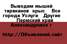 Выводим мышей ,тараканов, крыс. - Все города Услуги » Другие   . Пермский край,Александровск г.
